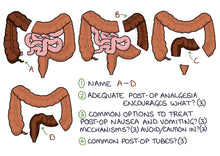 Load image into Gallery viewer, Medicine and Surgery Double Pack