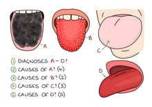 Load image into Gallery viewer, Medicine and Surgery Double Pack
