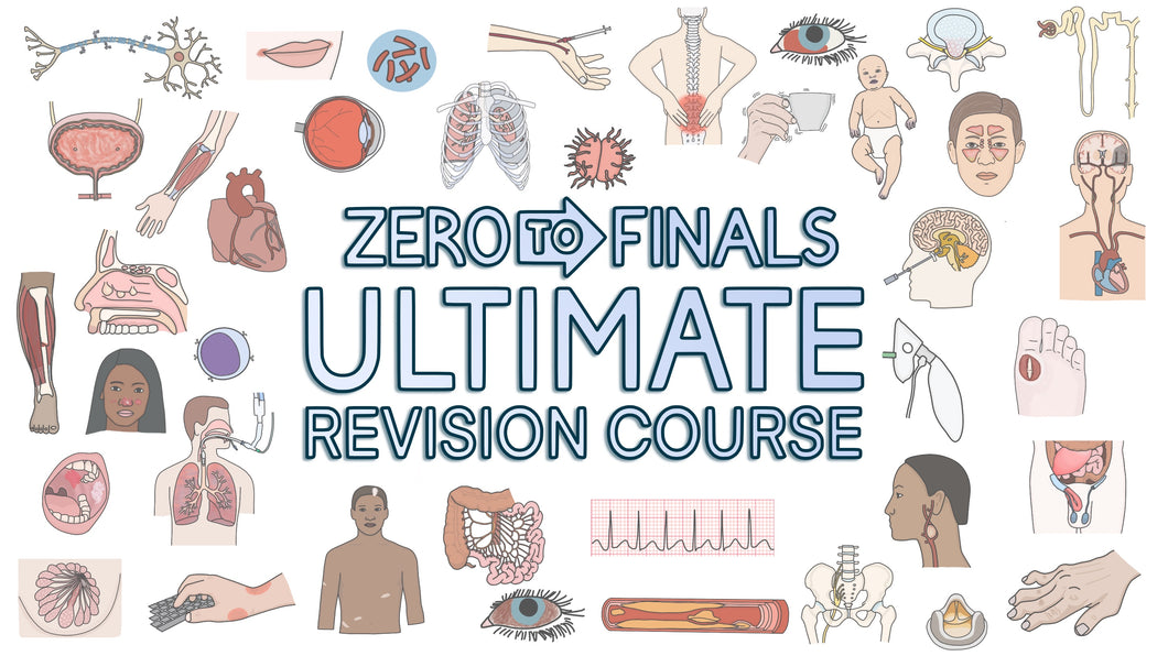 ULTIMATE Revision Course NORWICH 19/01/2025